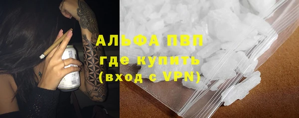 дурь Гусиноозёрск