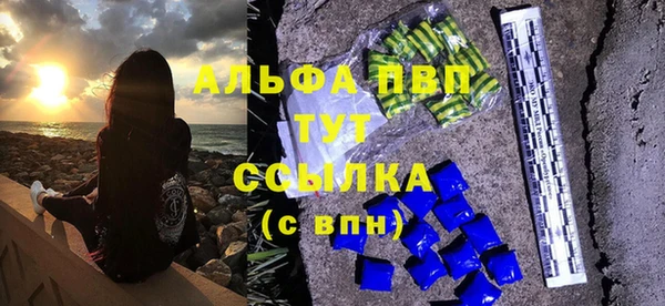 гашик Дмитровск
