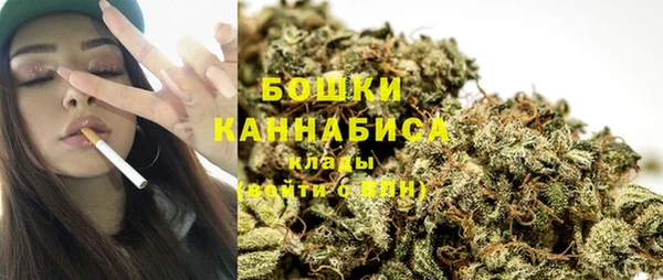 дурь Гусиноозёрск