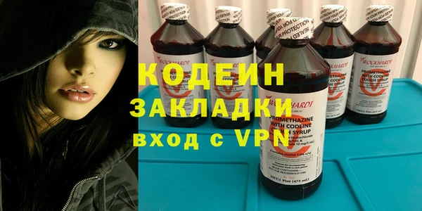 гашик Дмитровск