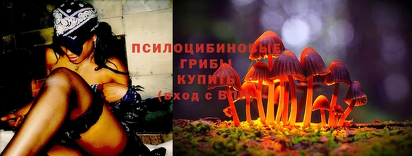 дурь Гусиноозёрск