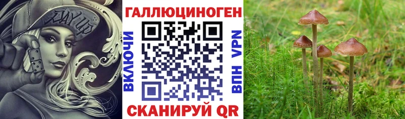 Псилоцибиновые грибы прущие грибы  MEGA как зайти  Тосно 